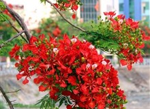 Bản tin đầu tư tài chính và thuế kỳ 30/04/2017