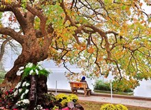 Bản tin đầu tư tài chính và thuế kỳ 30/04/2018