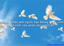 Bản tin đầu tư tài chính và thuế kỳ 31/01/2018