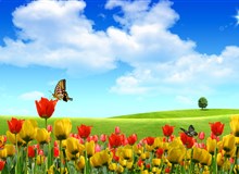 Bản tin đầu tư tài chính và thuế kỳ 34/04/2018 dịch tiếng Trung