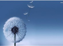 BẢN TIN ĐẦU TƯ TÀI CHÍNH VÀ THUẾ  PHÁT HÀNH 15/9/2016