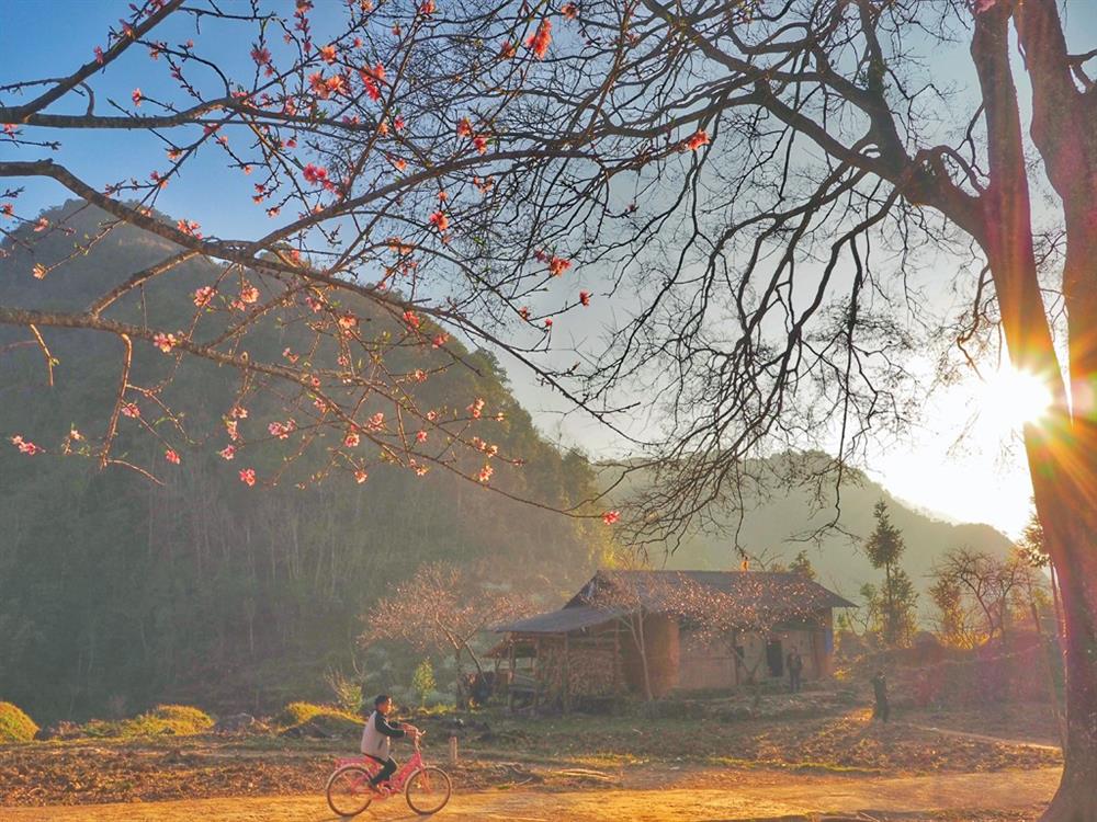 Bản tin đầu tư tài chính và thuế kỳ 15/03/2019