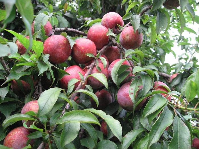 Bản tin đầu tư tài chính và thuế kỳ 15/05/2019