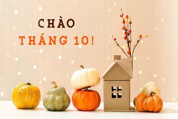 Bản tin đầu tư tài chính và thuế kỳ 15 tháng 10 năm 2022